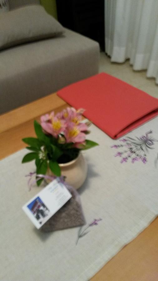 Apartments Soric ロヴィニ 部屋 写真